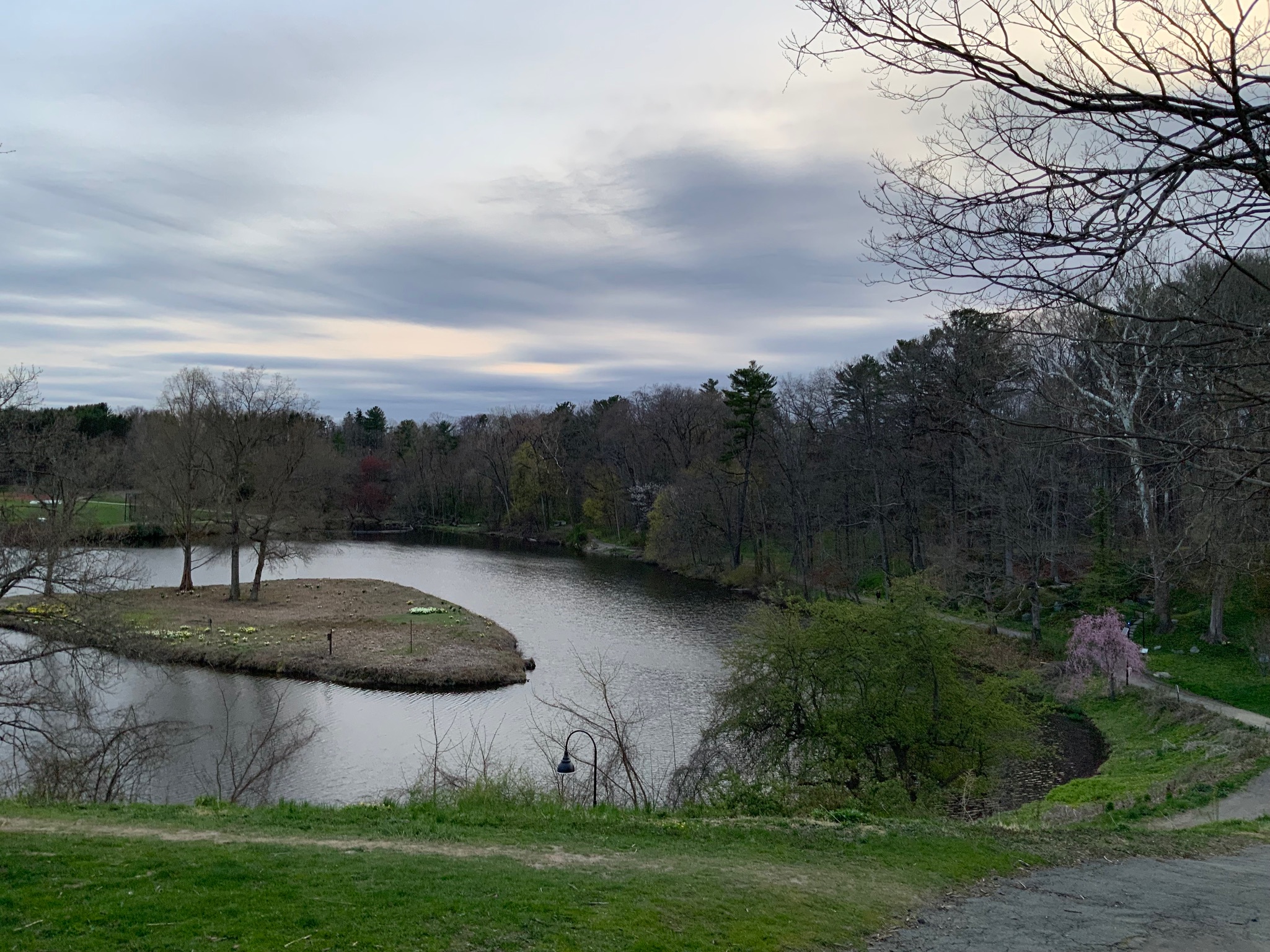 Smith College Campus Pond