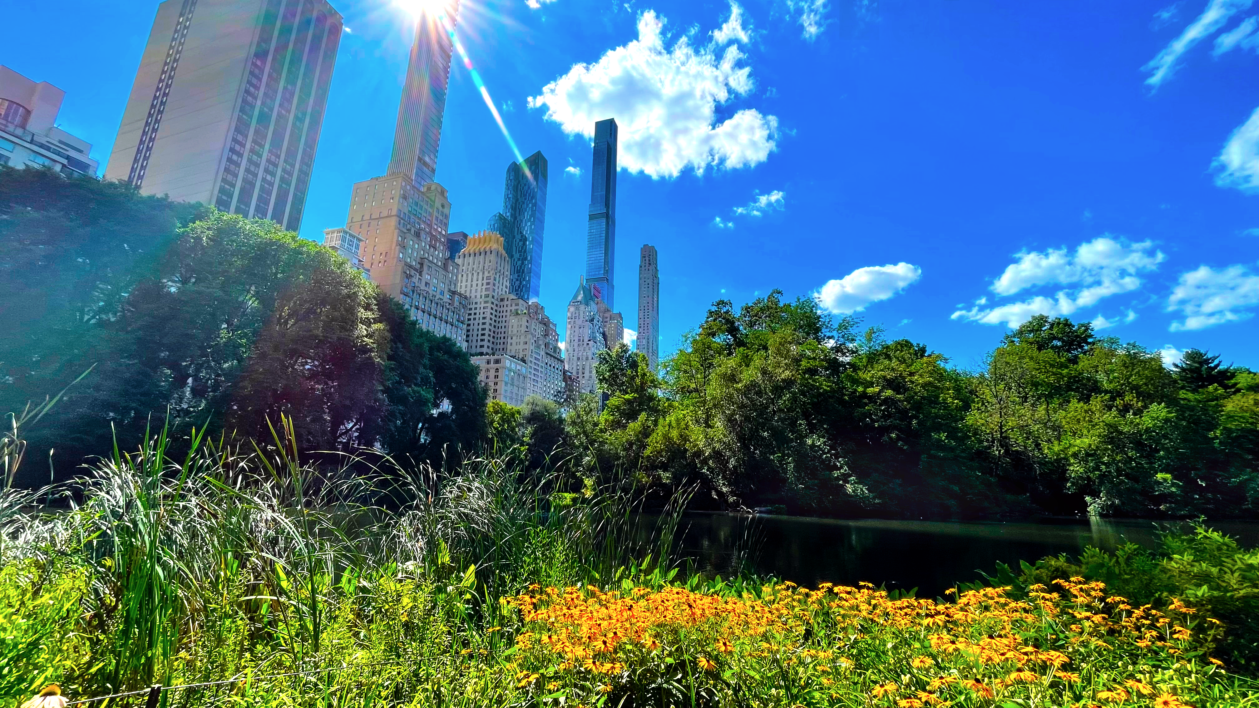 Central Park, NYC