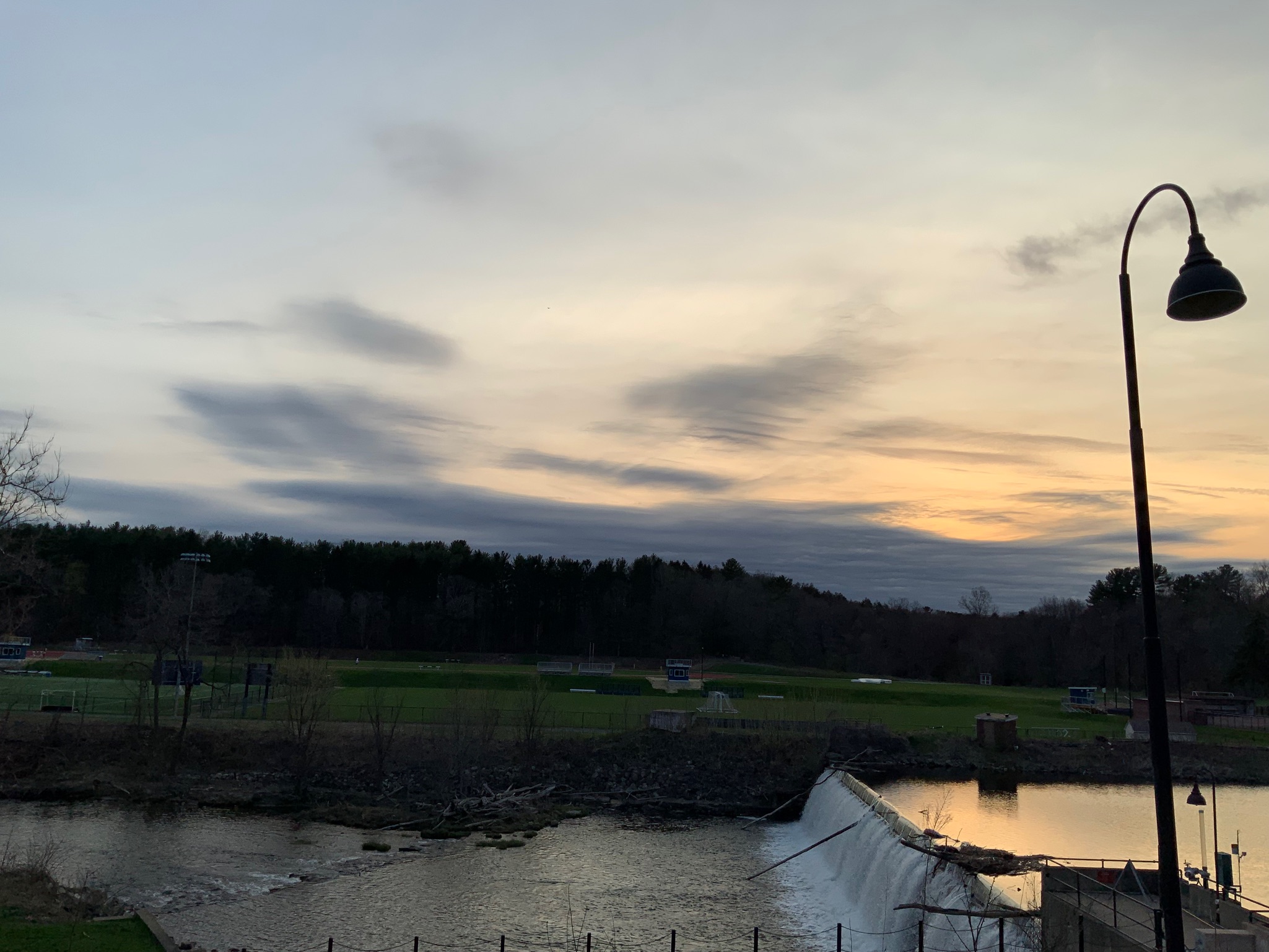 Smith College: Campus Pond